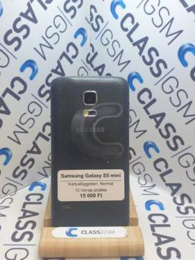 Samsung Galaxy S5 mini