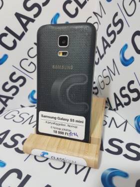Samsung Galaxy S5 mini