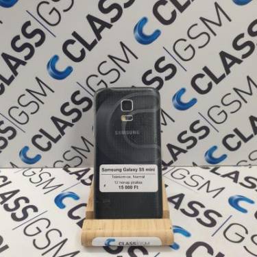Samsung Galaxy S5 mini