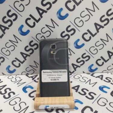 Samsung Galaxy S5 mini